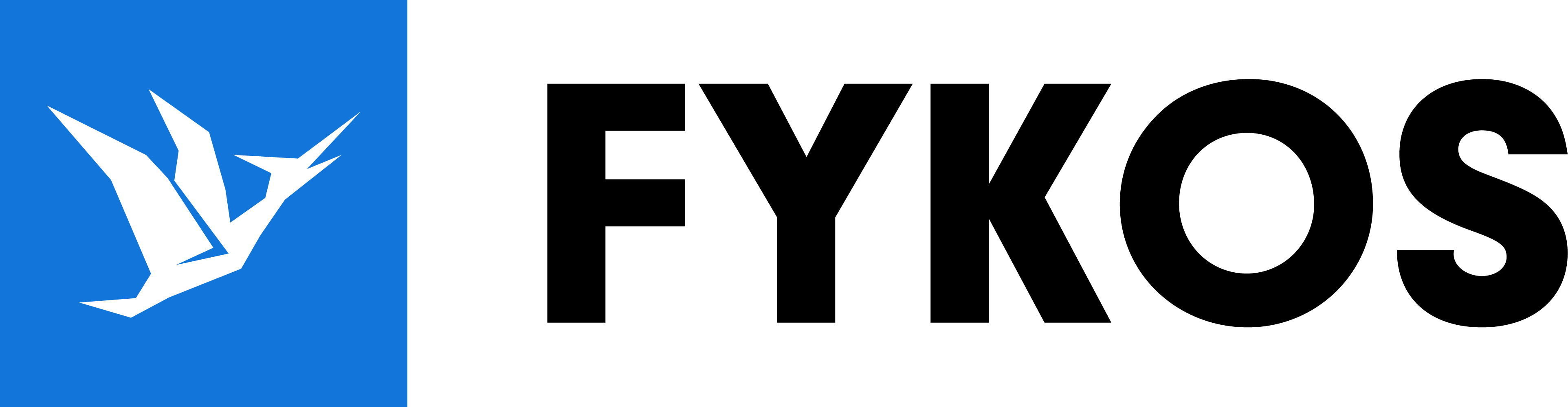 logo FYKOSu